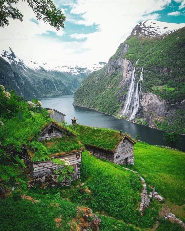 Eco Apartament W Ålesund المظهر الخارجي الصورة